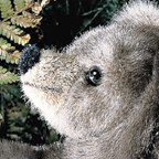 Kosen Bear "Wuschel"