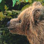 Kosen Bear "Lummel"