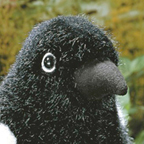 Kosen Magpie "Inge"