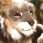 Kosen Lynx (lying)