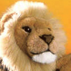 Kosen Lion "Talek"