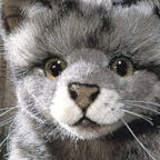 Kosen Cat "Miez"