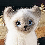 Kosen Burma Kitten