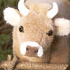 Kosen Brown Cow "Alma"