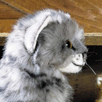 Kosen Small Gray Barn Cat "Tini"