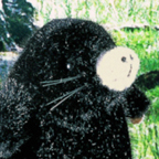 Kosen Moles
