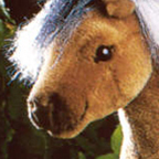 Kosen Fjord Horse