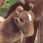 Kosen Riding Horse Foal