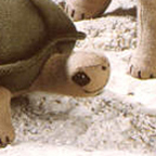 Kosen Small Turtle "Ollie"