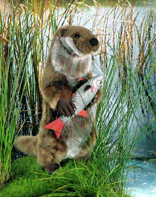 New from Kosen: Large Fish Otter "Otto", with friend.